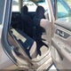1N4AL3AP2DC911563 2013 Nissan Altima 2.5 S auction photo thumbnail 8
