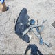 1FTFW1EF6DFB42755 2013 Ford F-150 Lariat auction photo thumbnail 12