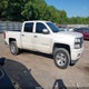 3GCUKREC3EG207066 2014 Chevrolet Silverado 1500 1Lt auction photo thumbnail 13