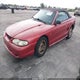 1FALP4447SF232808 1995 Ford Mustang auction photo thumbnail 2