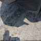 1GCPTEEK2P1205840 2023 Chevrolet Colorado 4Wd Short Box Trail Boss auction photo thumbnail 6
