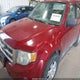 1FMCU93G29KB54396 2009 Ford Escape Xlt auction photo thumbnail 13