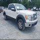 1FTPX14V09FA18532 2009 Ford F-150 Fx4/Lariat/Xl/Xlt auction photo thumbnail 1