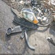KNDJT2A6XD7515496 2013 Kia Soul + auction photo thumbnail 12