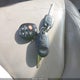 5TDZA22C45S335452 2005 Toyota Sienna Xle auction photo thumbnail 11