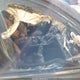 19UUB6F42MA004609 2021 Acura Tlx Technology Package auction photo thumbnail 5