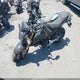 LXDPCJRX7R1041261 2024 Dongfang Df125Rtr auction photo thumbnail 2