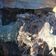 JF2GUADC5R8337342 2024 Subaru Crosstrek Premium auction photo thumbnail 7