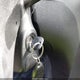 1G2MB35B47Y131813 2007 Pontiac Solstice auction photo thumbnail 11
