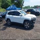 1C4PJMDX5KD394407 2019 Jeep Cherokee Limited 4X4 auction photo thumbnail 13