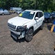 1C4PJMDX5KD394407 2019 Jeep Cherokee Limited 4X4 auction photo thumbnail 2