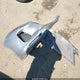 1HGFA16817L098654 2007 Honda Civic Ex auction photo thumbnail 12