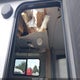 54CTM2J22L3050348 2020 Winnebago Micro Minn 2108Ds auction photo thumbnail 6