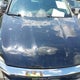 5FNYF6H99GB065979 2016 Honda Pilot Touring auction photo thumbnail 6