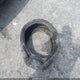 1HGCV1F39MA065842 2021 Honda Accord Sport auction photo thumbnail 12