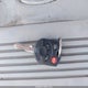 1FMCU49HX8KA57755 2008 Ford Escape Hybrid auction photo thumbnail 11