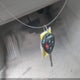 4T1BE46K09U398242 2009 Toyota Camry Le auction photo thumbnail 11