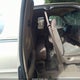 1FTDX17W6VKB77743 1997 Ford F-150 Lariat/Standard/Xl/Xlt auction photo thumbnail 8