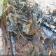 1FTEW1EG4FFB40008 2015 Ford F-150 Lariat auction photo thumbnail 7