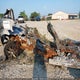 1FTEW1EG4FFB40008 2015 Ford F-150 Lariat auction photo thumbnail 8