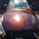 JN1BJ0RR5HM416740 2017 Infiniti Qx50 auction photo thumbnail 10