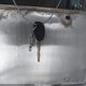 3GNCA53V99S607882 2009 Chevrolet Hhr Lt auction photo thumbnail 11