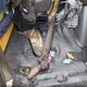 1GDHG31U871902252 2007 GMC Savana Cutaway Work Van auction photo thumbnail 12
