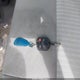 1FTYE2CM2KKB42436 2019 Ford Transit-150 auction photo thumbnail 11