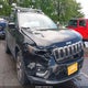 1C4PJMDN1KD410794 2019 Jeep Cherokee Limited 4X4 auction photo thumbnail 1
