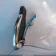 WDBRF52H76A852501 2006 Mercedes-Benz C 230 Sport auction photo thumbnail 11