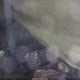 5J8YD8H97NL002425 2022 Acura Mdx Type S auction photo thumbnail 8