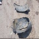 5NMZT3LB5HH019832 2017 Hyundai Santa Fe Sport 2.4L auction photo thumbnail 12