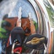 JS1VY54A082102665 2008 Suzuki Vlr1800 auction photo thumbnail 11