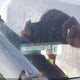 1FMCU0G92DUD71645 2013 Ford Escape Se auction photo thumbnail 9