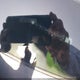 4T1KZ1AK3NU068874 2022 Toyota Camry Xse V6 auction photo thumbnail 9