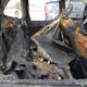 JF2SKARC2LH510976 2020 Subaru Forester Sport auction photo thumbnail 8