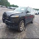 1C4PJMDS7GW101123 2016 Jeep Cherokee Limited auction photo thumbnail 2