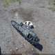 JTMG1RFV9KD014526 2019 Toyota Rav4 Le auction photo thumbnail 12