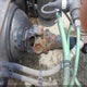 3AKJGLDV6HSHD4915 2017 Freightliner Cascadia 125 auction photo thumbnail 18