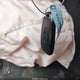 1G1ZE5ST6GF183739 2016 Chevrolet Malibu 1Lt auction photo thumbnail 11