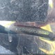 1G4PR5SK7C4207963 2012 Buick Verano Convenience Group auction photo thumbnail 9
