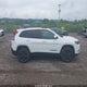 1C4PJMLB0KD462599 2019 Jeep Cherokee Altitude 4X4 auction photo thumbnail 14