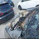 1C4RJEAT1DC612822 2013 Jeep Grand Cherokee Laredo auction photo thumbnail 10