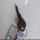 6K5027925 1964 Buick Wildcat auction photo thumbnail 11