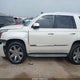 1GYS3BKJ2FR210504 2015 Cadillac Escalade Luxury auction photo thumbnail 14