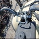 LLCLSM1056F000359 2006 Yamoto Atv auction photo thumbnail 7