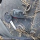 WVGAV7AX5FW589865 2015 Volkswagen Tiguan S auction photo thumbnail 11