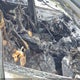 2GNFLFEK4G6270730 2016 Chevrolet Equinox Lt auction photo thumbnail 5