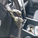 5FNYF4H47AB036805 2010 Honda Pilot Ex auction photo thumbnail 11