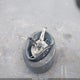 7SAYGDEE4NF318774 2022 Tesla Model Y Long Range Dual Motor All-Wheel Drive auction photo thumbnail 11